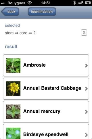 Weed Identification screenshot 3