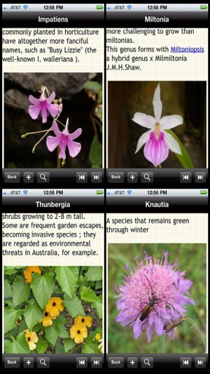 Garden Plants Bible(圖2)-速報App