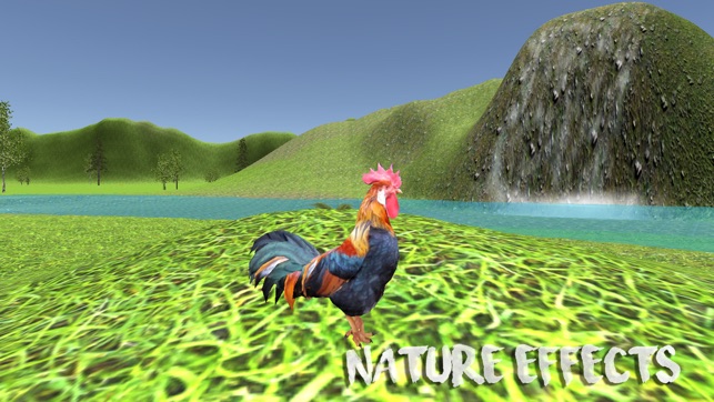 Rooster Simulator(圖2)-速報App