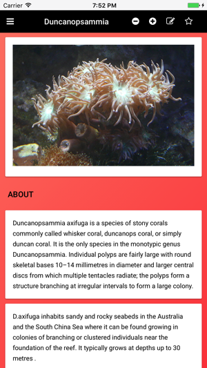 Coral Species: Types of Coral(圖2)-速報App