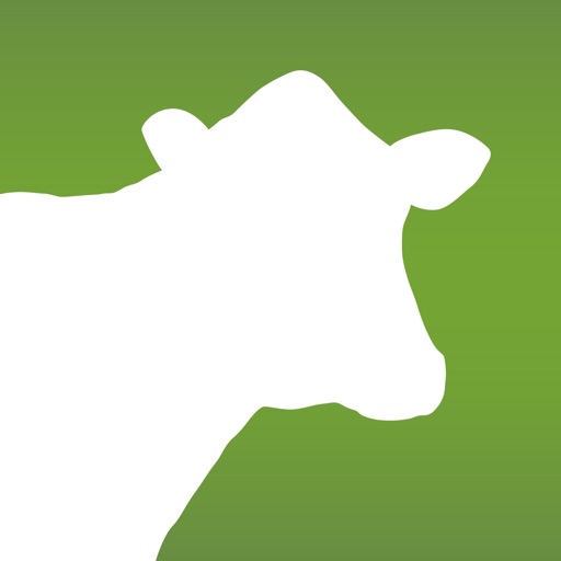 Dairy Health Check Icon
