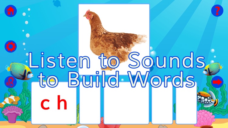 READING MAGIC 4 Deluxe-Phonograms and Digraphs