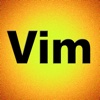 Vi and Vim flashcards and reference