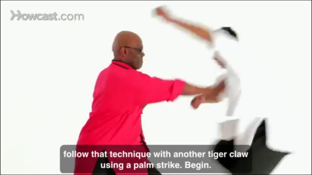 Shaolin Kung Fu Master Class(圖5)-速報App