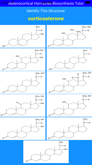 Adrenocortical Hormones Tutor(圖2)-速報App