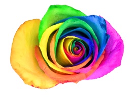 Add some beauty to you iMessage conversations with one of these flower stickers
