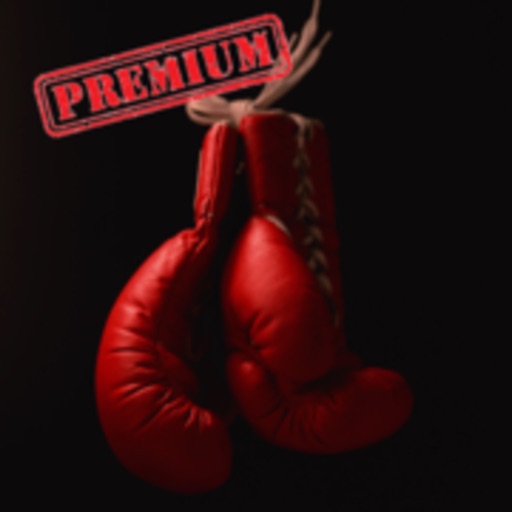20 Min Boxing Workout -  Train like a boxer Pro icon