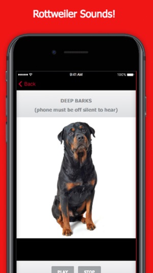 Rottweiler Dog Sounds & Barking App