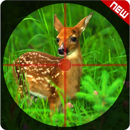 Forest Safari Deer Hunting pro icon