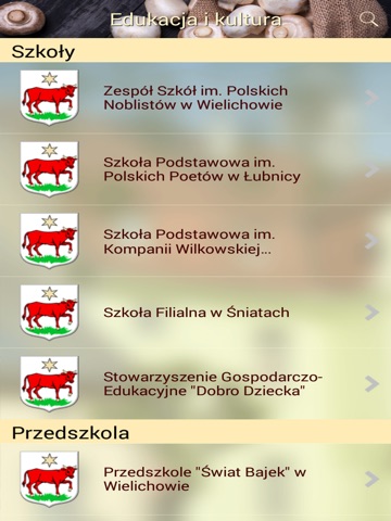 Wielichowo screenshot 2
