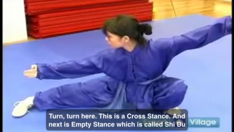 Wushu screenshot-4