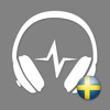 Sveriges Radio Play Sweden FM