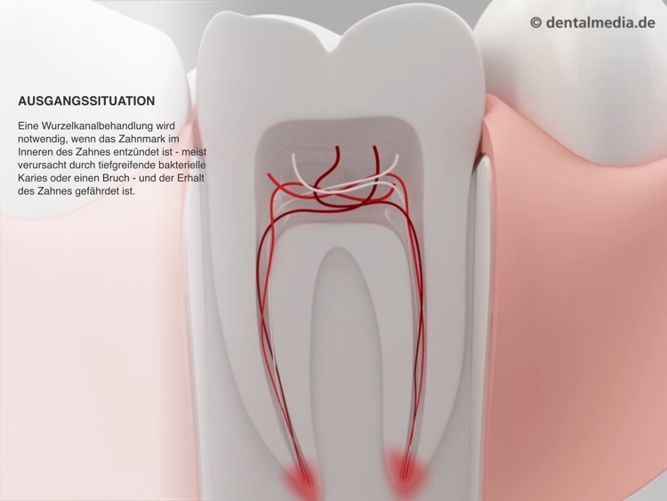 Dentalinformer