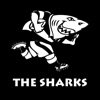 The Sharks Clubs & Schools