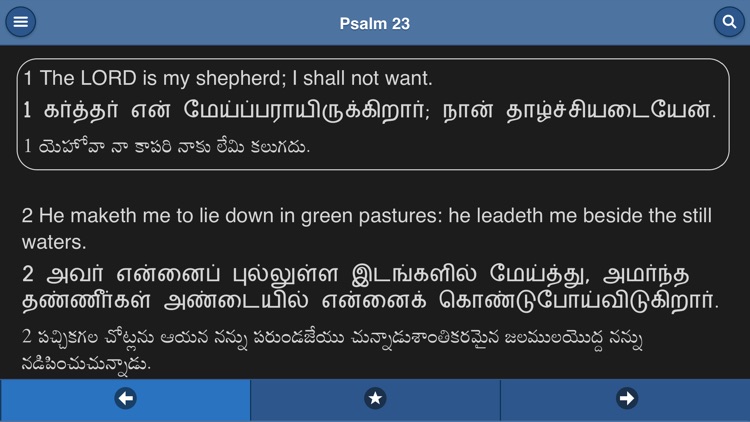 VerseVIEW Mobile Bible