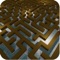 Unlock the mystery of the Maze and race to survive in the official Maze Runner Brain Puzzle game