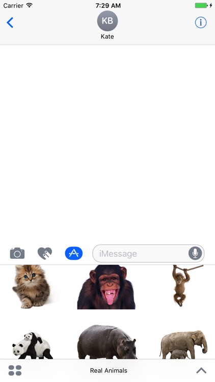 Real Animals