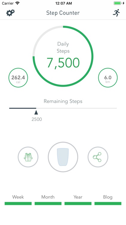 The Pedometer screenshot-0