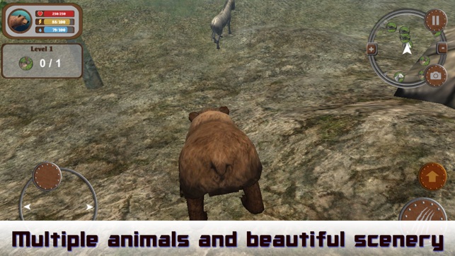 Wild Bear 3D Hunting Simulator(圖3)-速報App