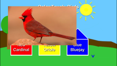 How to cancel & delete Color Touch: Birds from iphone & ipad 3