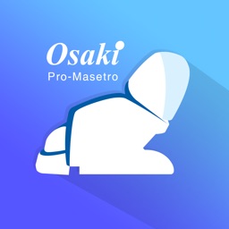 Pro Maestro HD