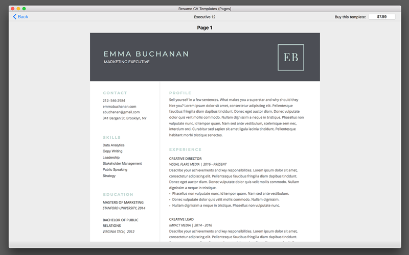 Resume Boss Templates 4 Pages screenshot 2