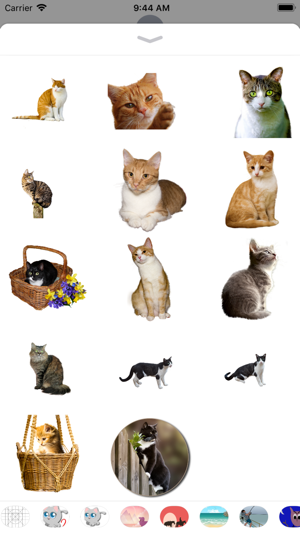 Realistic Cat Stickers(圖1)-速報App