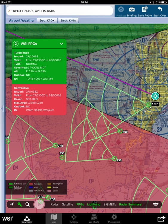 WSI Pilotbrief Optima