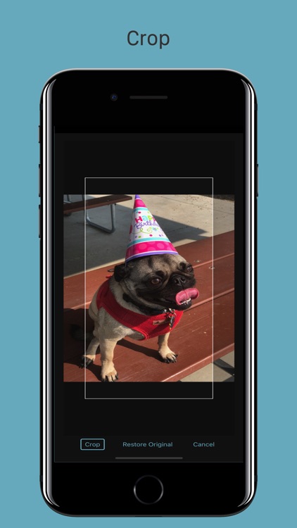 Grid Painter screenshot-3