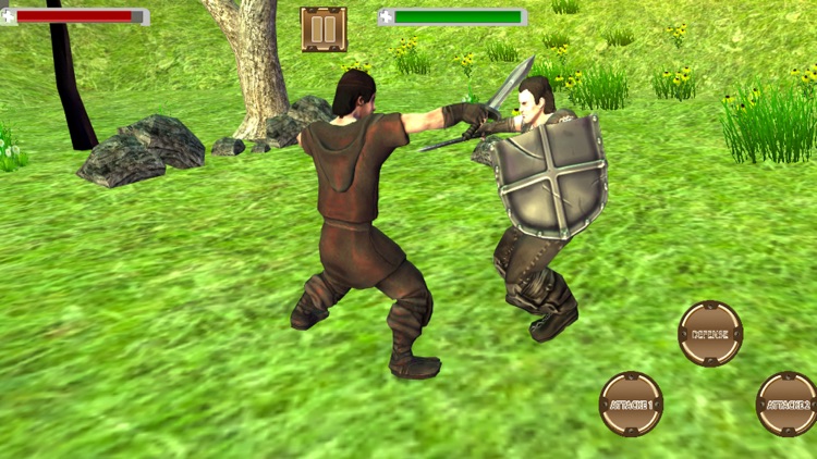 Shadow Sword Fight Simulator screenshot-4