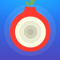 Red Onion II: TOR Web Browser