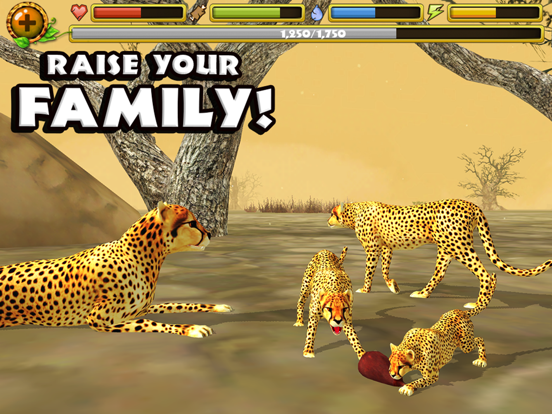 Cheetah Simulator для iPad