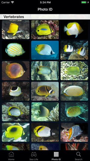 Sea Life Australia(圖3)-速報App