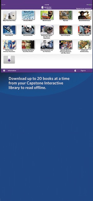 Capstone Interactive