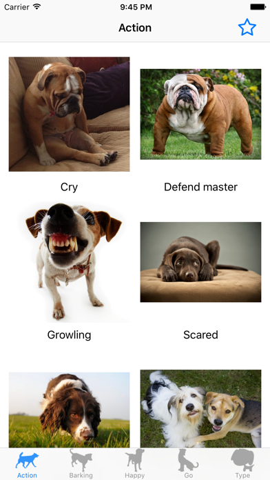 How to cancel & delete Dog sounds - Fun for dog lover from iphone & ipad 3