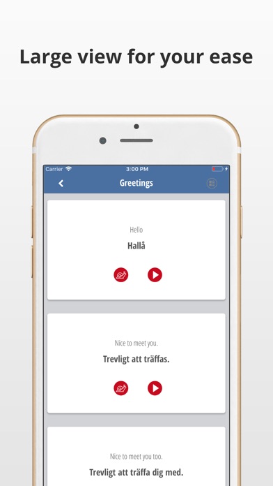 Learn Swedish Language App screenshot 3