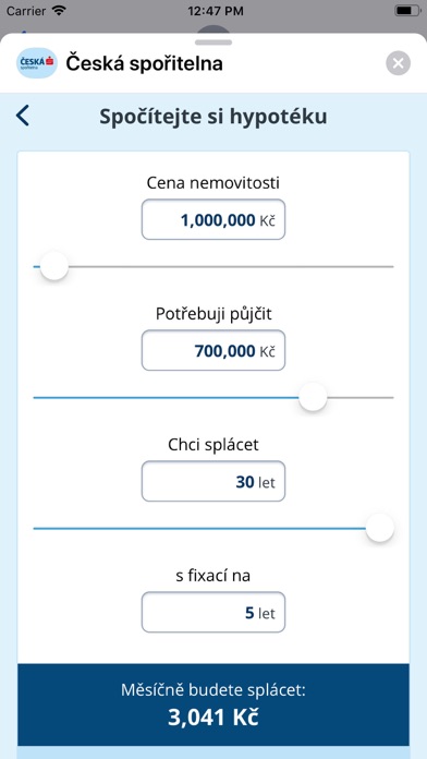 ČS Business chat screenshot 2