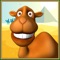 This is the talking camel