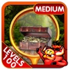 Secret Treasure Hidden Objects