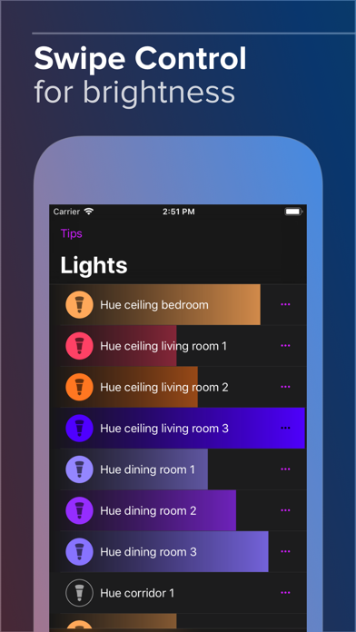 Hue Widget Screenshot 4