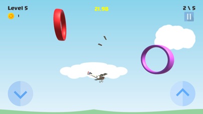 Airplane Aerobatics screenshot 3