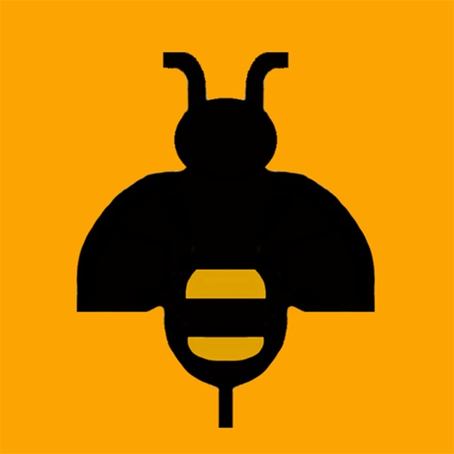 Fastbee icon