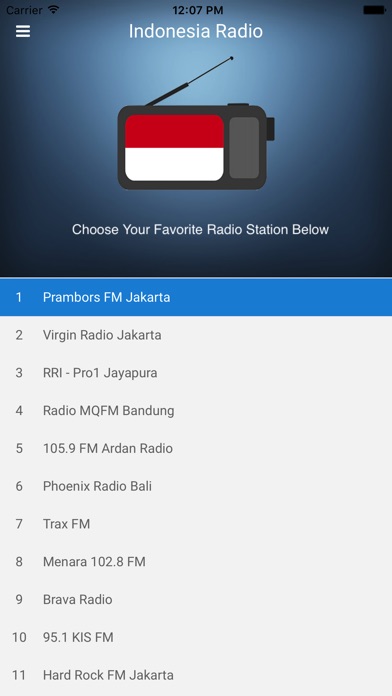 Indonesia Radio Station FM screenshot 4