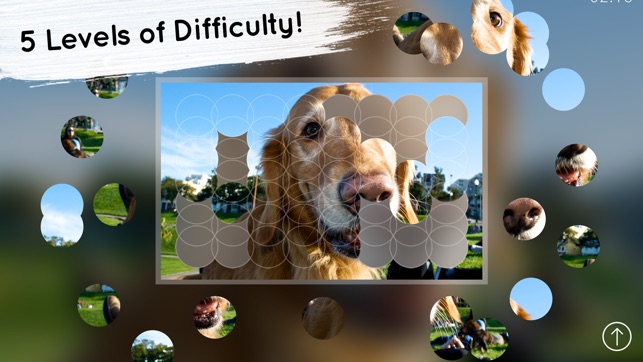 Venn Dogs: Jigsaw Puzzle(圖3)-速報App