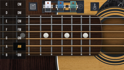 How to cancel & delete Simulator of the Real guitar from iphone & ipad 3