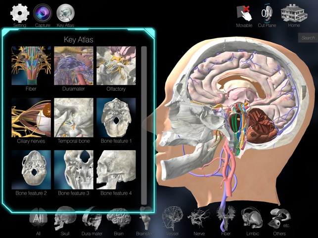 3D解剖学アトラス：iRis」をApp Storeで
