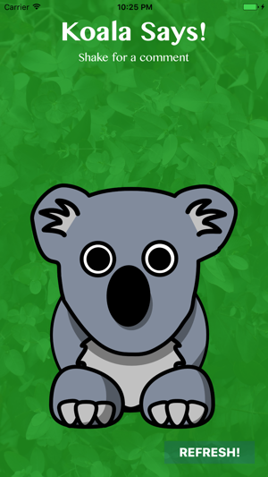 Koala Says