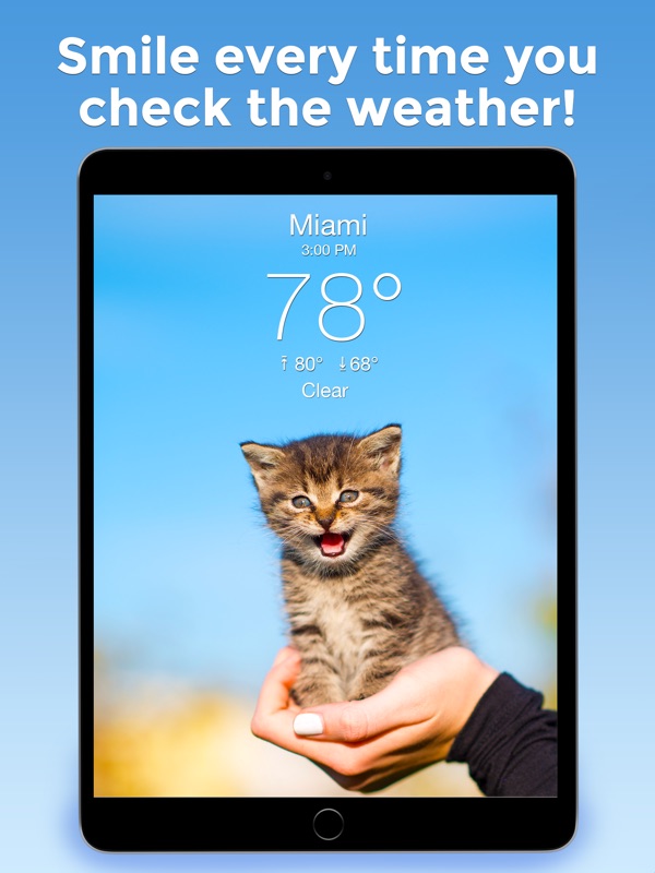 weather cat app