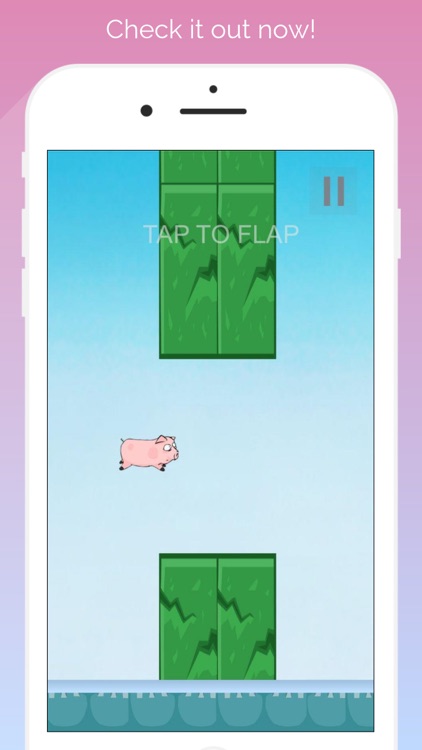 Piggy Flap