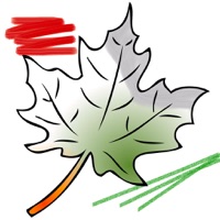 Coloria - 성인 색칠 공부